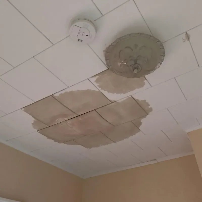 Ceiling Water Damage Repair in Kenwood, IL
