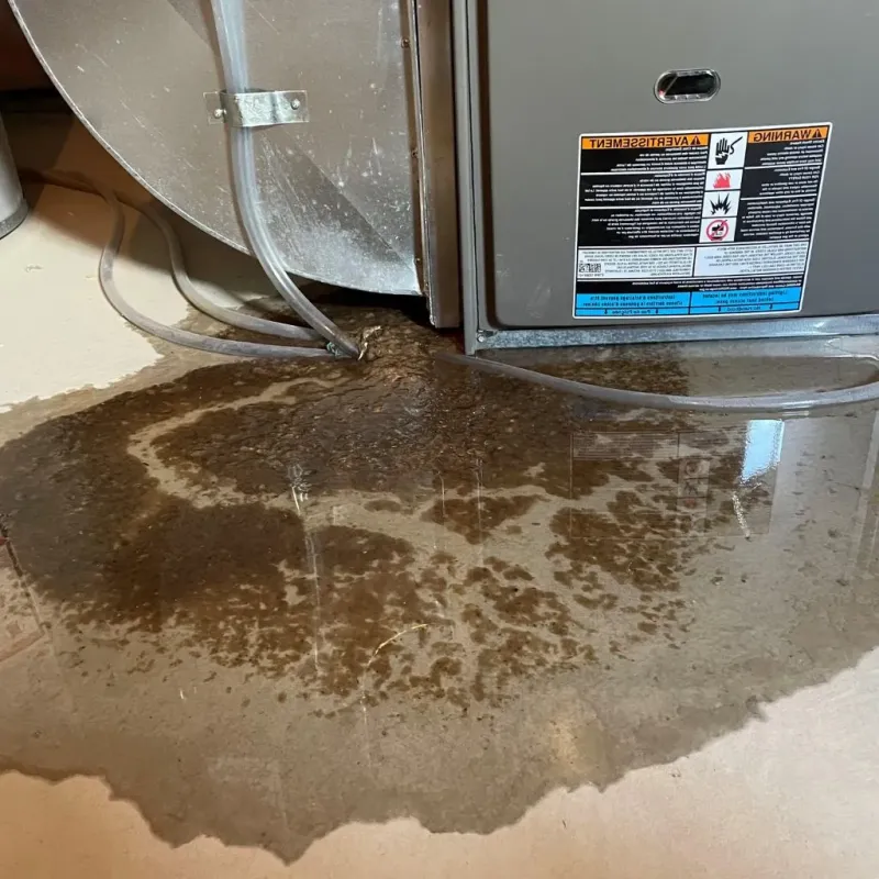 Pipe Burst and Leak Restoration in Kenwood, IL