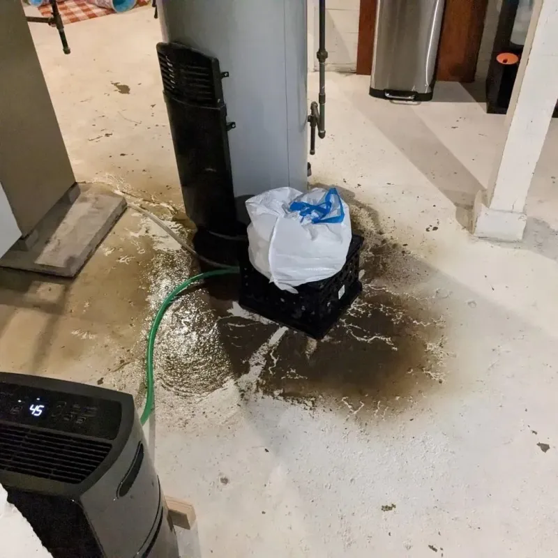 Sewage Backup Cleanup Service in Kenwood, IL
